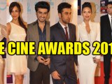 Zee Cine Awards 2013 | Bollywood In Full Attendance