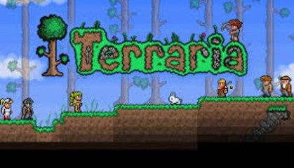 [Détente/Découverte] sur Terraria