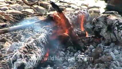 Aghori-haridwar-3.mov