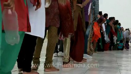 Agra-Taj Mahal-27.mov