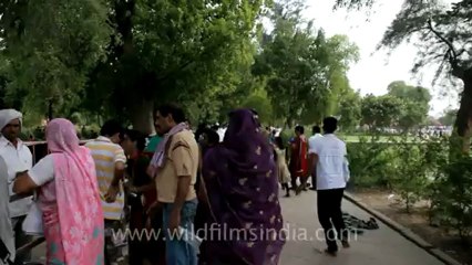 Agra-Taj Mahal-28.mov