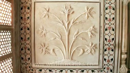 Agra-Taj Mahal-32.mov