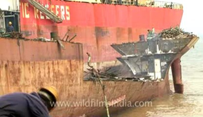 Alang-hdv-407-19.flv