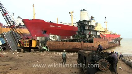 Alang-hdv-407-21.mov