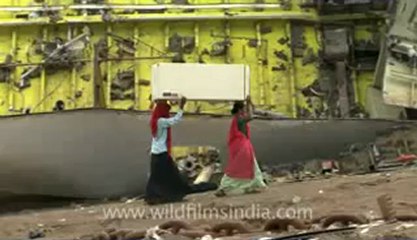 Alang-hdv-407-28.flv