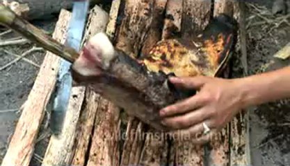 Arunachal-Ziro village-14-roasting pork.flv