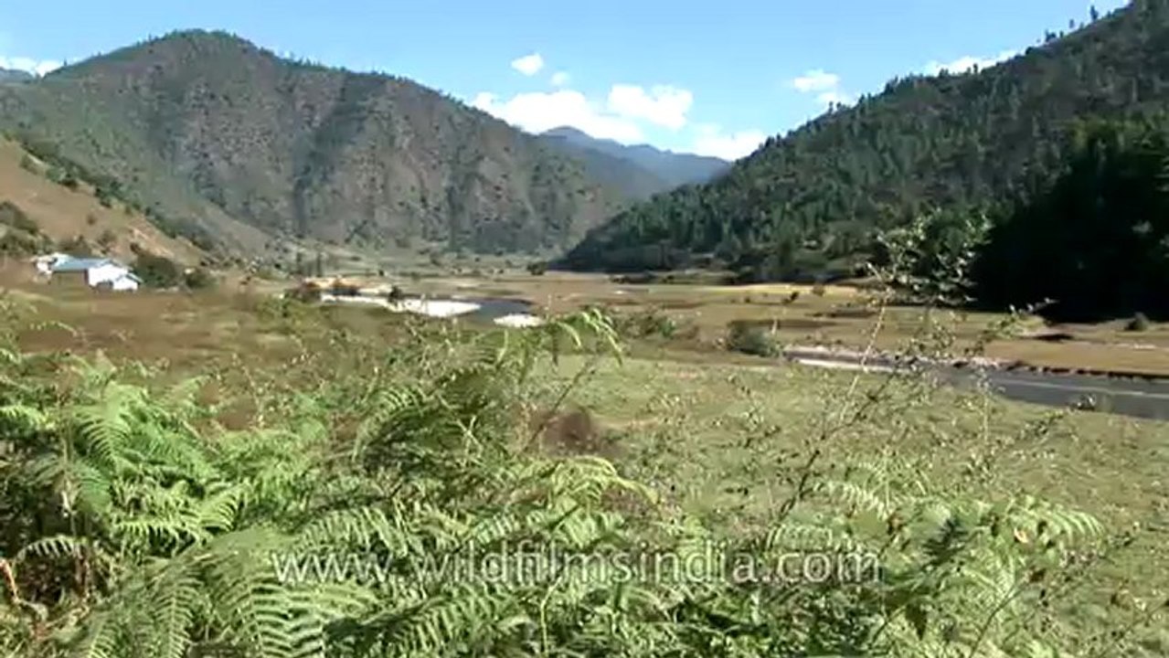 Arunachal-river-hdv-169-1.mp4
