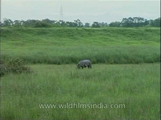 Assam-mdv-631-6-12.flv