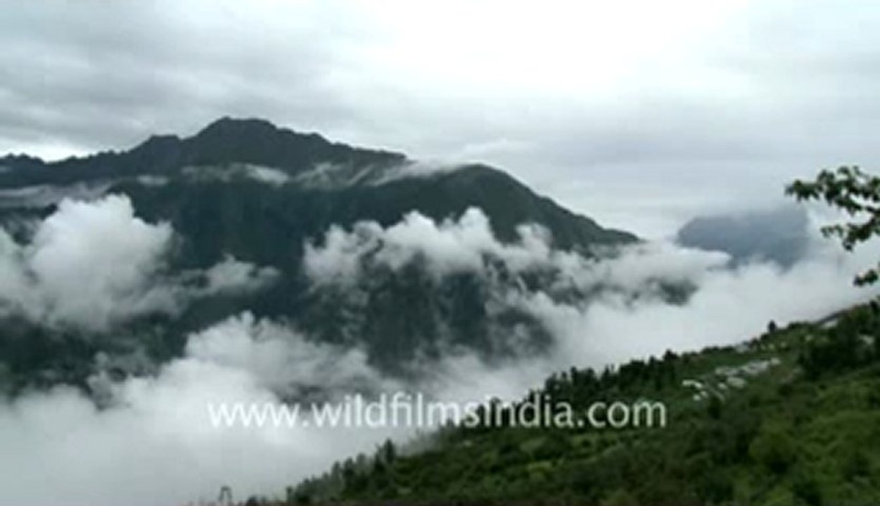 Badrinath-3.flv