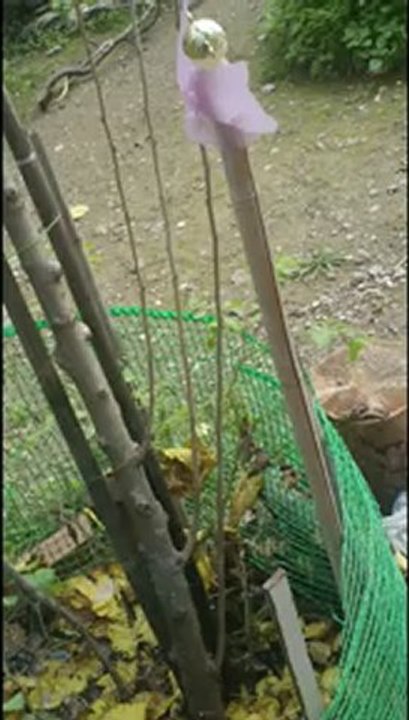 Κύριος Δημήτρης άστεγος στον λόφο Φιλοπάππου