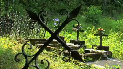 El medi ambient: El cautxú, la goma natural