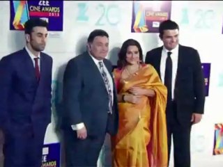 Vidya and Siddharth at Zee Cine Awards 2013