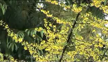 Bhutan-Bumthang-10.flv