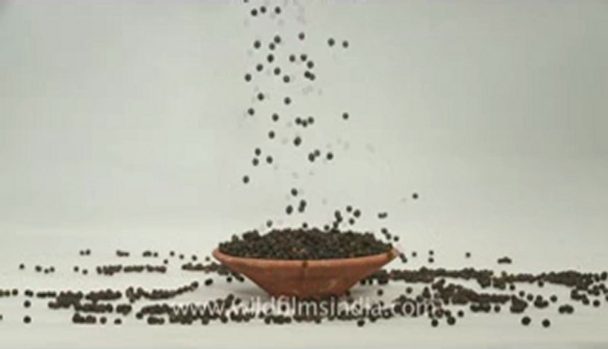 Black pepper-13.flv