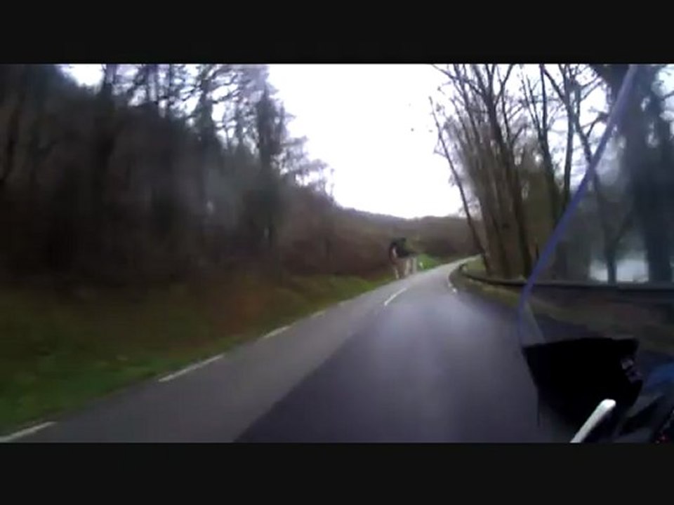 Moto Guzzi GT 8v - sortie hivernale