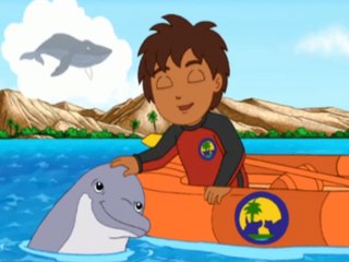 Dolphin le dauphin - Go Diego