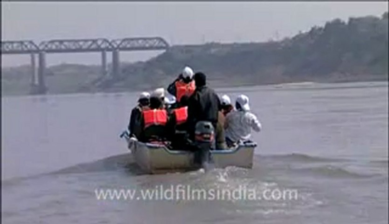 Chambal-7.flv
