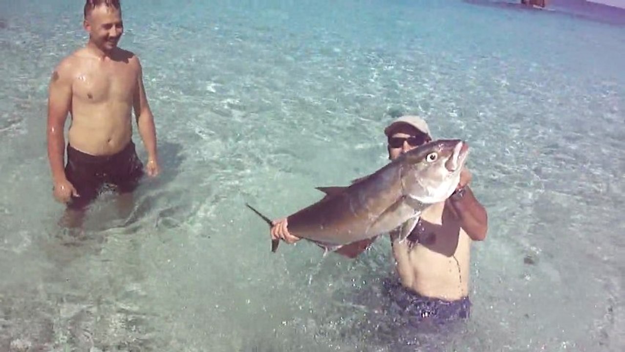 ADRASAN BALIK AVI TURUNDA AKYA AVI KEYFİ DENİZDE DE SÜRDÜ - www.adrasanbalik.com