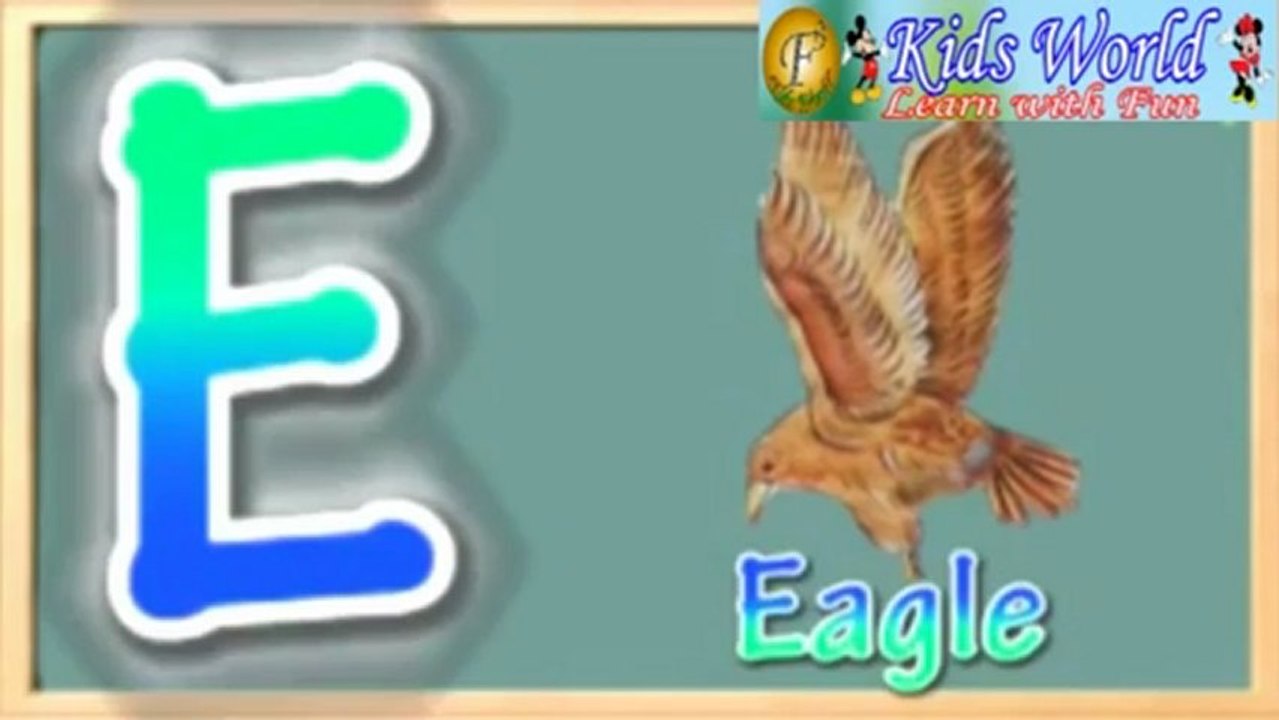 Birds1.mp4
