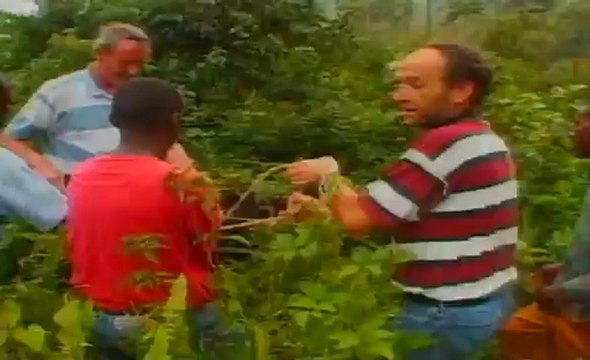 Si les vaches pouvaient voler - Fermier sans frontière du Zimbabwe au Burundi