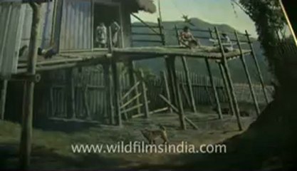 Chapchar Kut-fx-1-hdv-9.flv