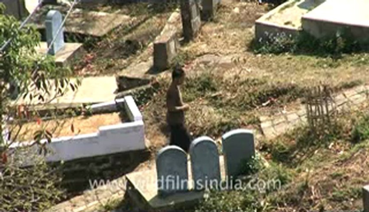 Chapcharkut-fx1-50.flv