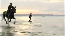 Horse Surfing with Harold Quinquis