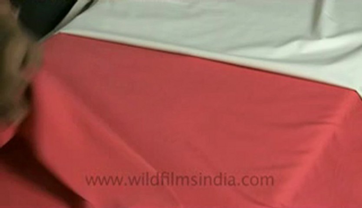 Cloths shop-9.flv