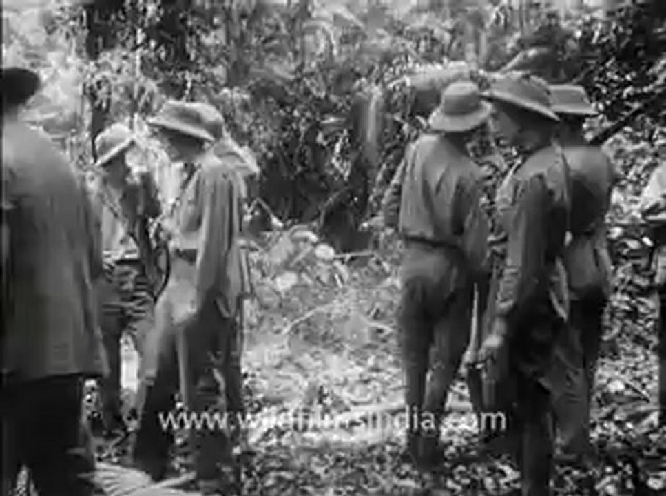 Corbett Tiger-1.flv