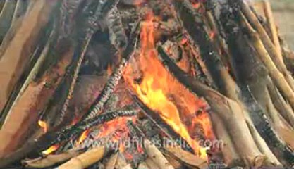 Cremation-Delhi-7D-4.flv