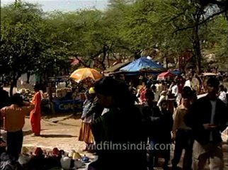 Delhi-surajkundmela-5-people.flv