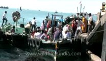 Dwarka-41.flv