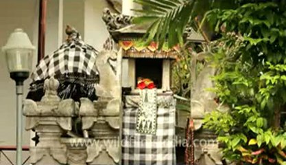 Indonesia-Bali-Seminyak-4.flv