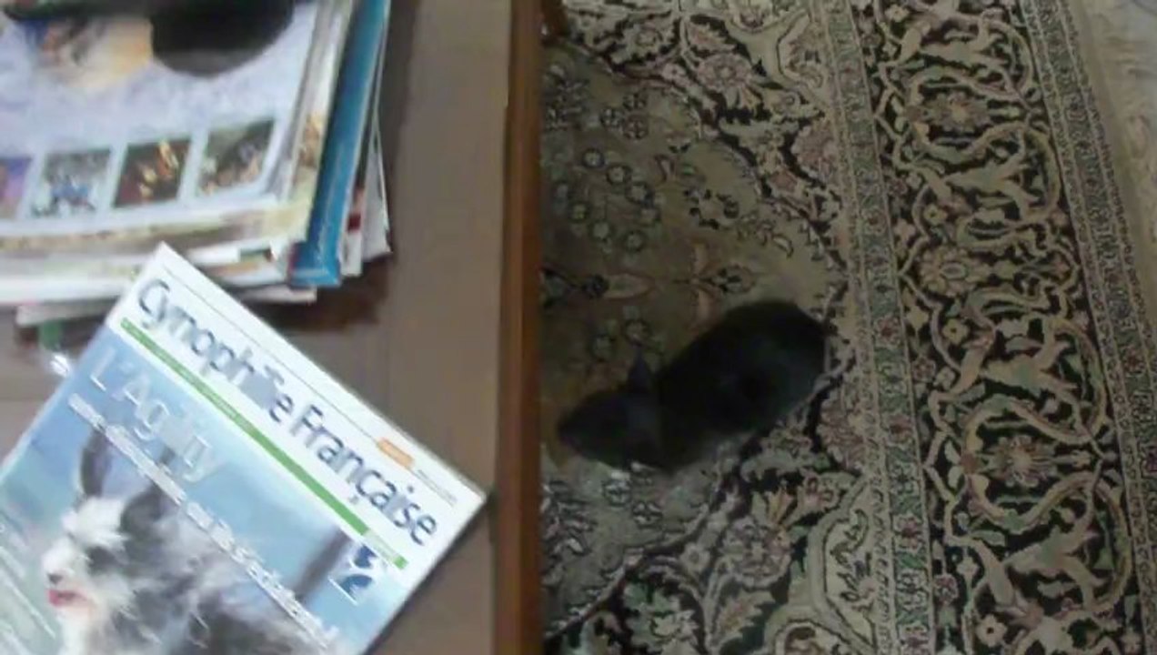 Hanoi des dunes de Keremma !