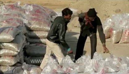 Gujarat-Desert-Salt packing-6.flv