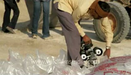 Gujarat-Desert-Salt packing-7.flv