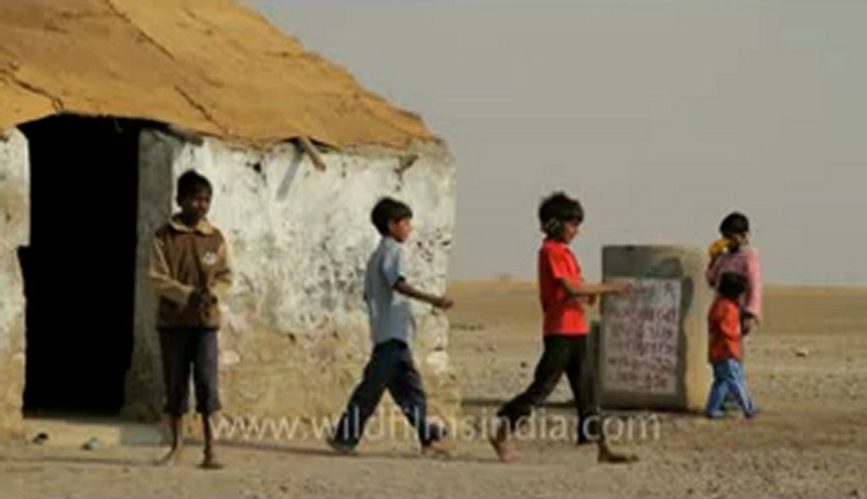 Gujarat-Shool in desert-2.flv