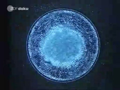 Les Maitres de l'Eau par Viktor Schauberger 1/2