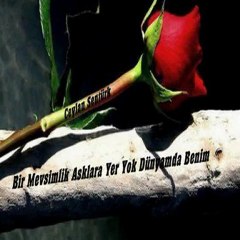 GÖZLER SÖZLERİ ANLATIR - SELAMİ ŞAHİN