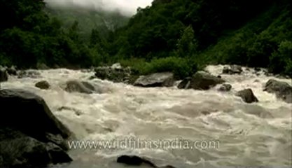 Hemkund-river-hdc-1-1.flv