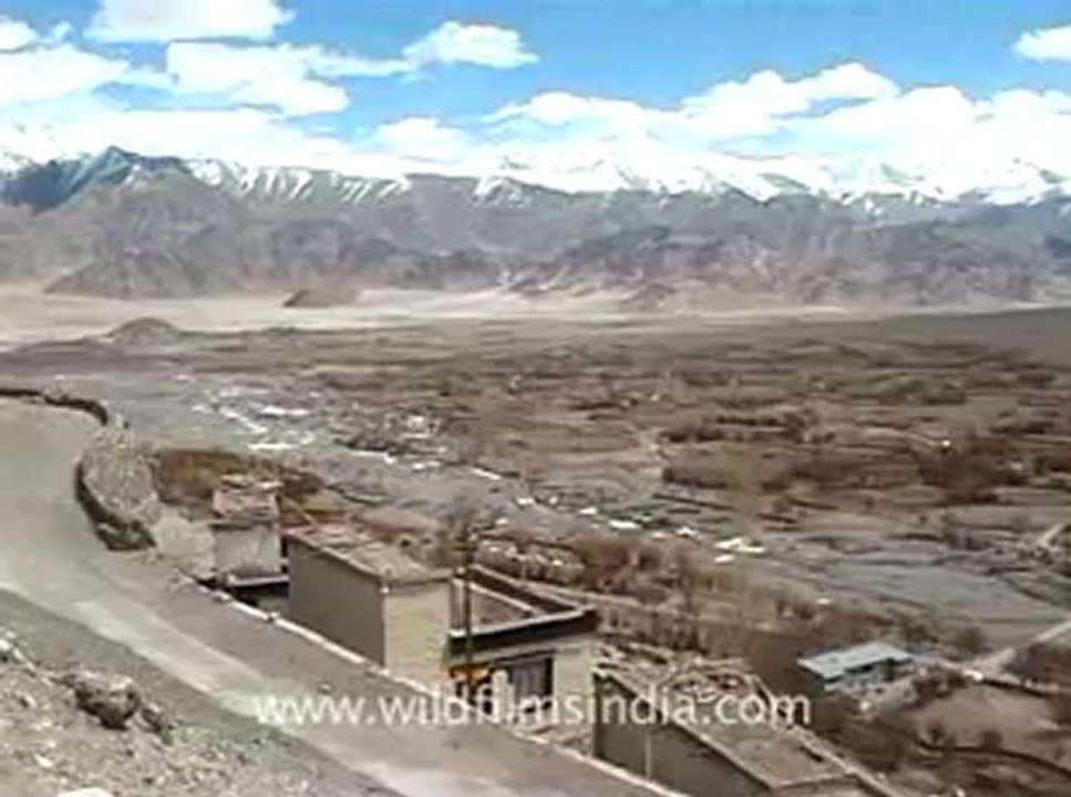 Himachal-spitikalchakra-4.flv