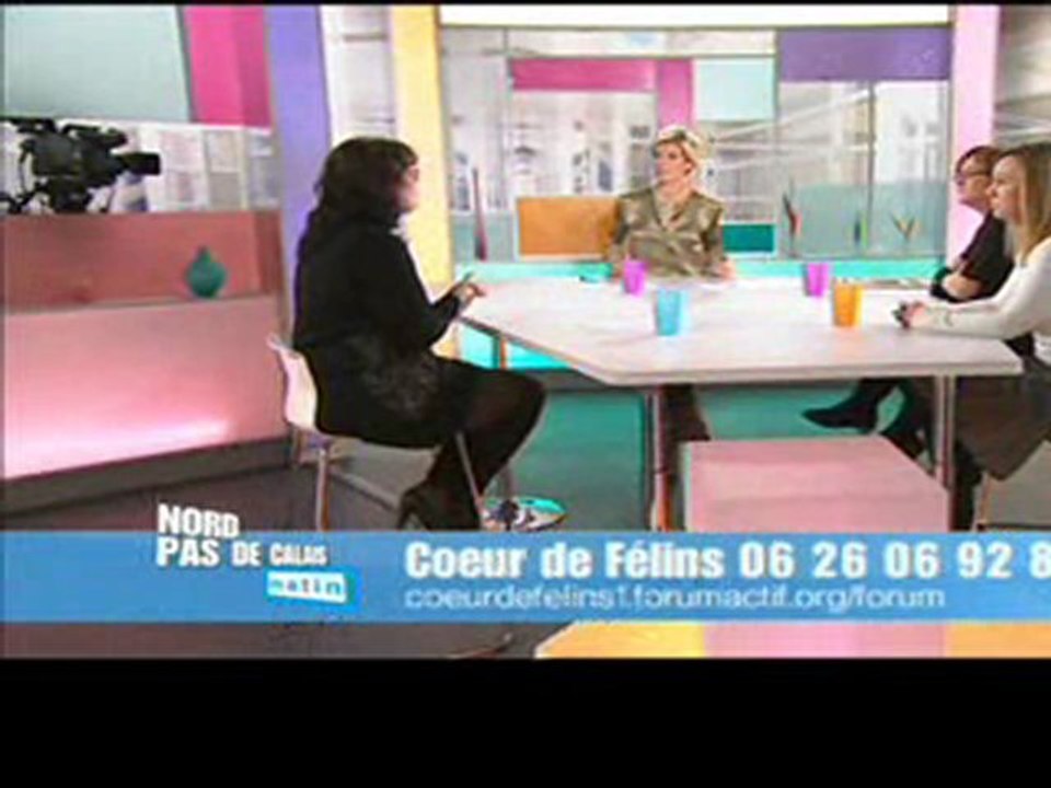 Coeur de Félins France 3 -  7 janvier 2013