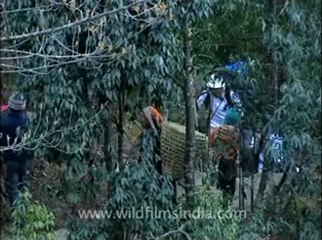 Himalaya-everest-38.flv