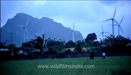 Kerala-windmills-8.flv