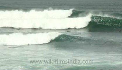 Indonesia-Bali-Surf-4.flv
