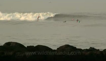 Indonesia-Bali-Surf-7.flv