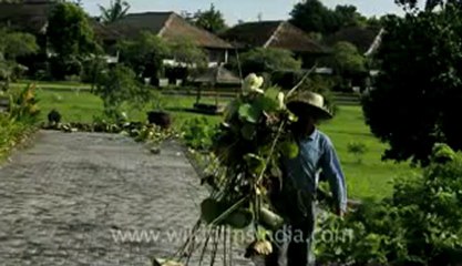Indonesia-Bali-Uluwatu NN-2.flv