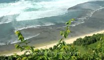 Indonesia-Bali-Uluwatu NN-4.flv