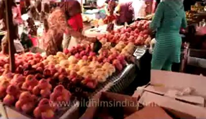 Indonesia-Sumatra-Walking Thru-2.flv
