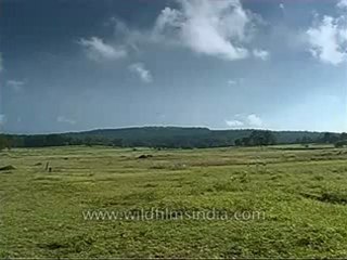 Kanha-mdv-568-3.flv